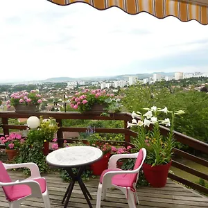 Joli Petit Sur Les Côtes De Cébazat/clermont Ferrand Appartement